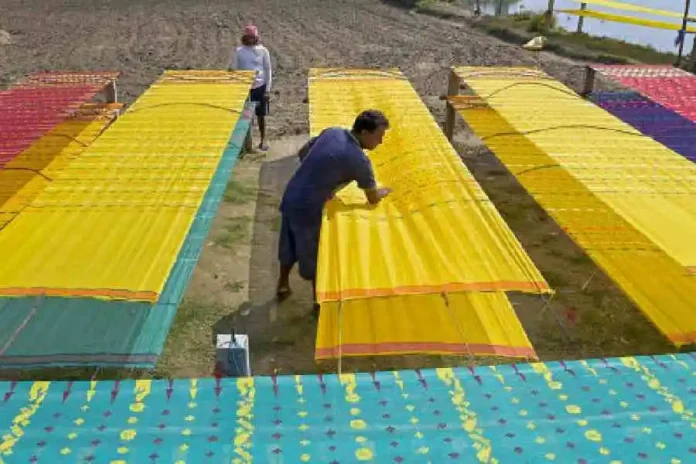 Workers lay handloom saris for drying in Nadia on Sunday, the day the Union budget 2026-27 was presented by finance minister Nirmala Sitharaman in Parliament. (PTI picture)